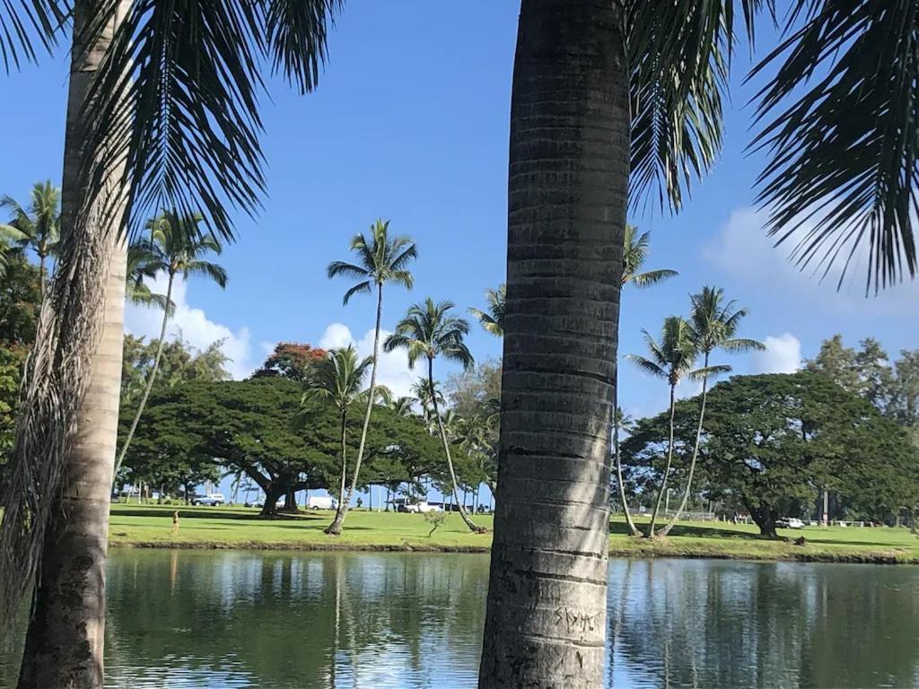 Stunning Views Best Location In Hilo 2Br Modern Condo Luaran gambar