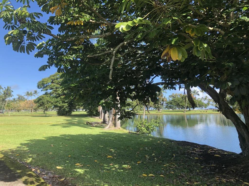 Stunning Views Best Location In Hilo 2Br Modern Condo Luaran gambar